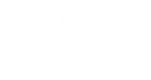 ACE 体育